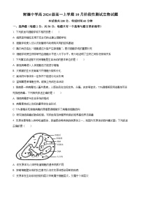 精品解析：四川省成都市树德中学2024-2025学年高一上学期10月月考生物试题