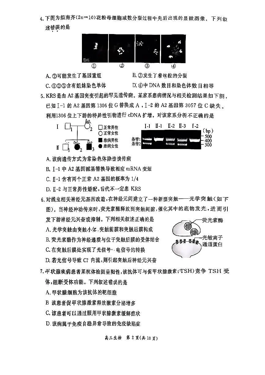 2026北京东城高三(上)期末生物试卷第2页
