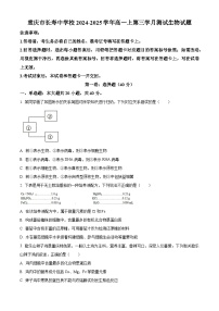 精品解析：重庆市长寿区重庆市长寿中学校2024-2025学年高一上学期12月月考生物试题