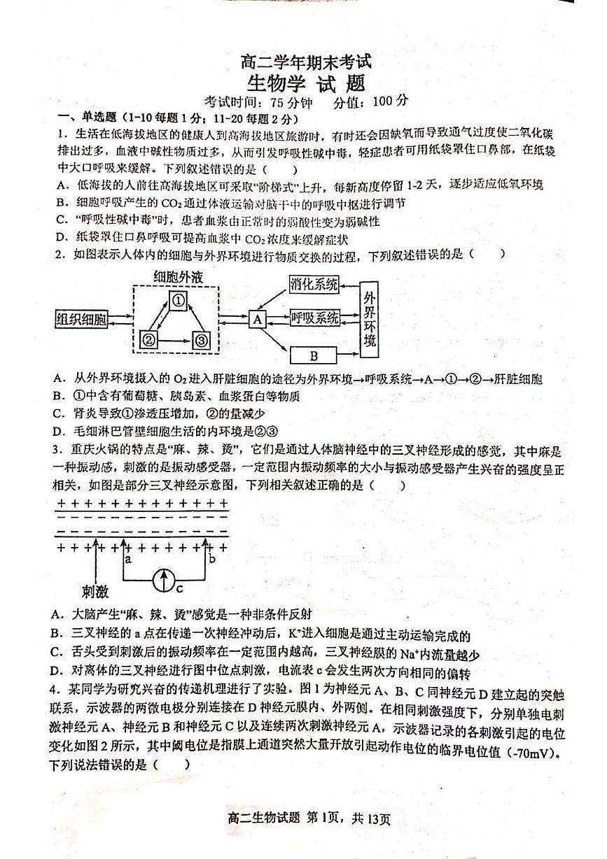 黑龙江省牡丹江市名校协作体2025-2026学年高二上学期1月期末生物试题第1页