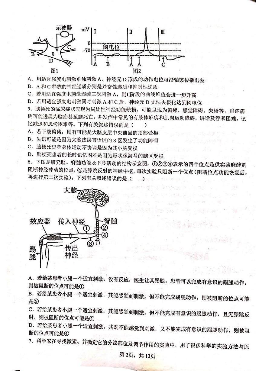 黑龙江省牡丹江市名校协作体2025-2026学年高二上学期1月期末生物试题第2页