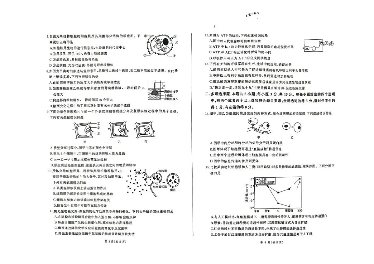 河北省承德市大教考2025-2026学年高一上学期12月联考生物试卷(PDF版附解析)第2页