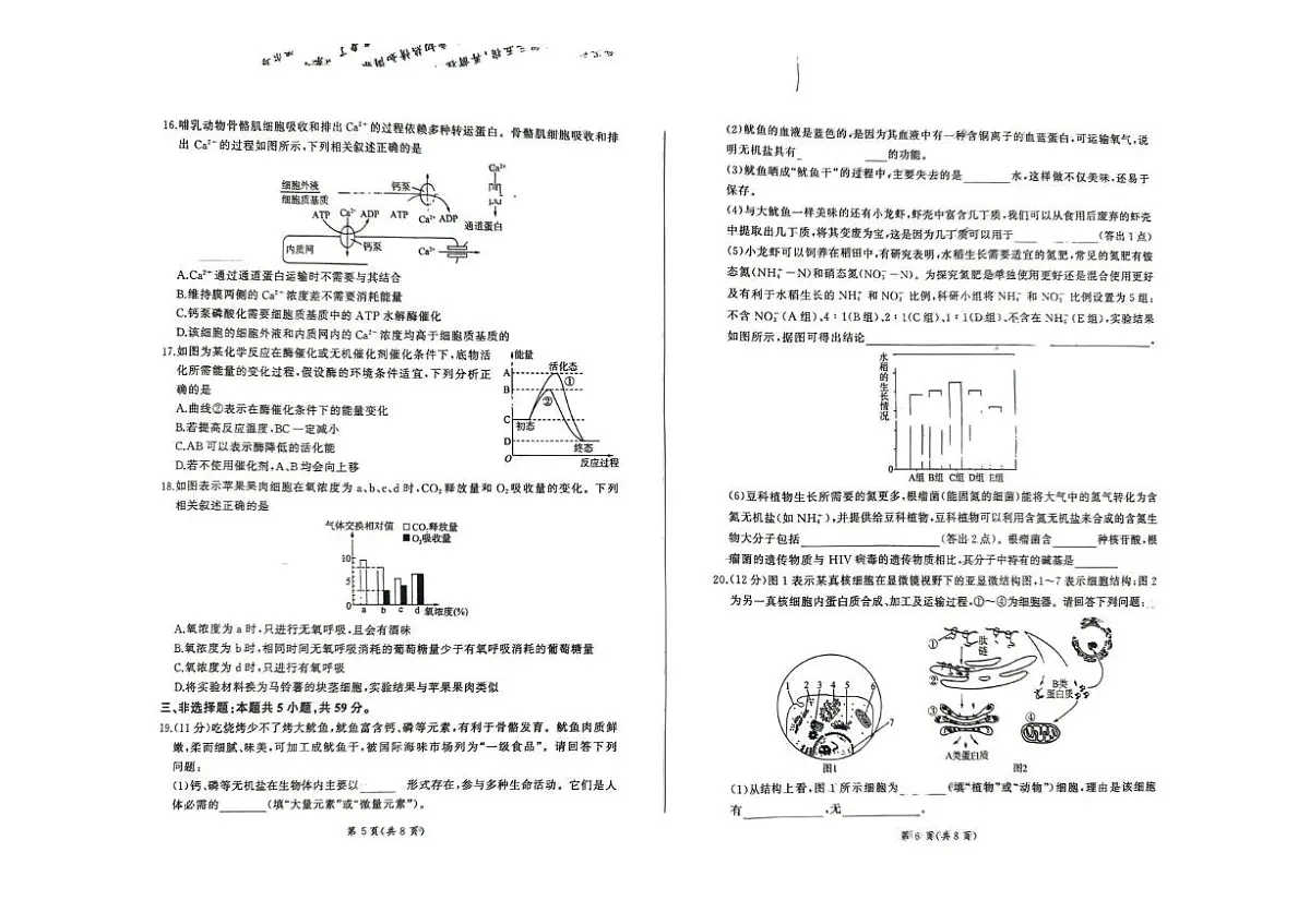 河北省承德市大教考2025-2026学年高一上学期12月联考生物试卷(PDF版附解析)第3页