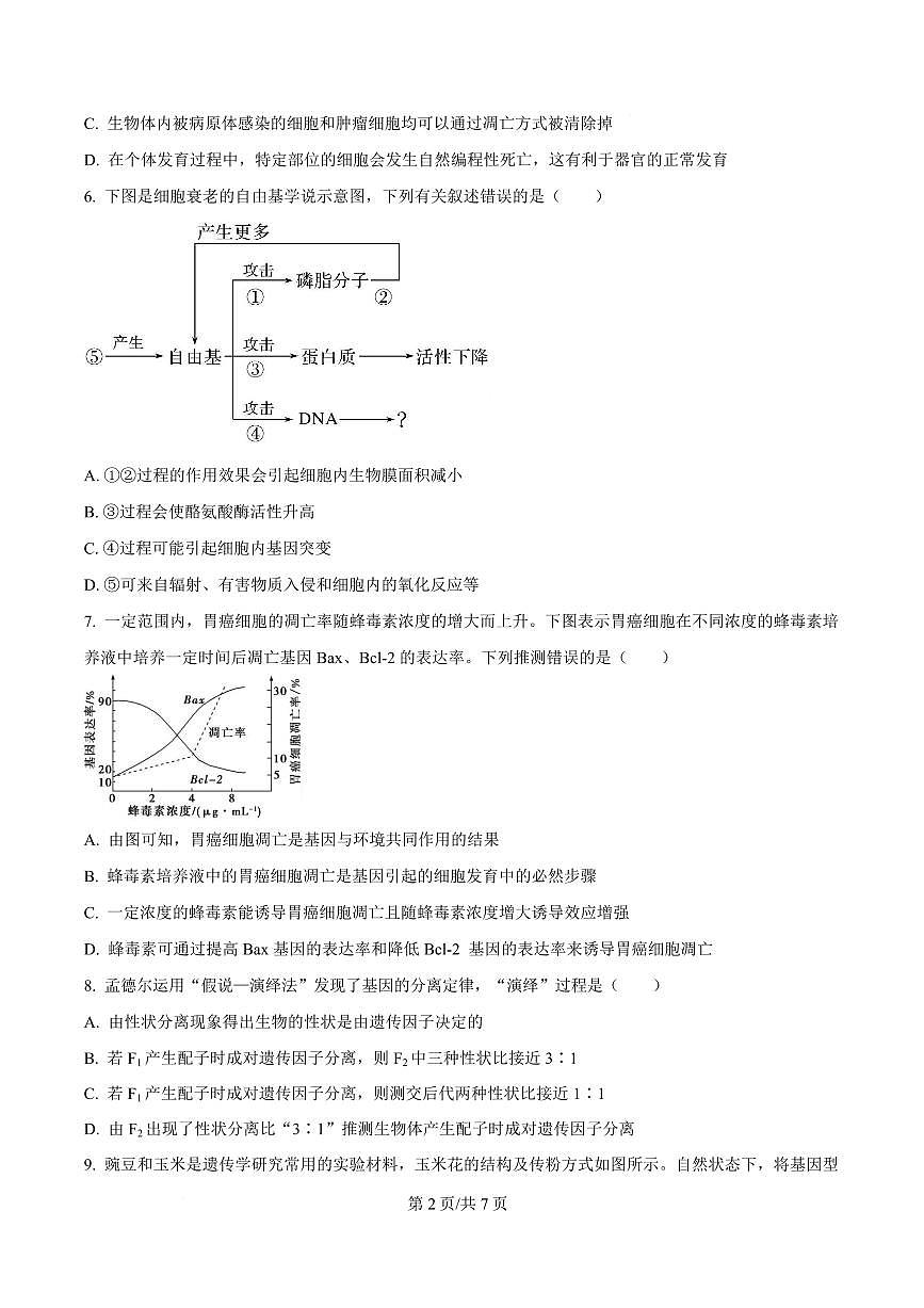 湖北省黄冈市蕲春县第一高级中学2024-2025学年高一下学期3月月考生物试题(原卷版)第2页