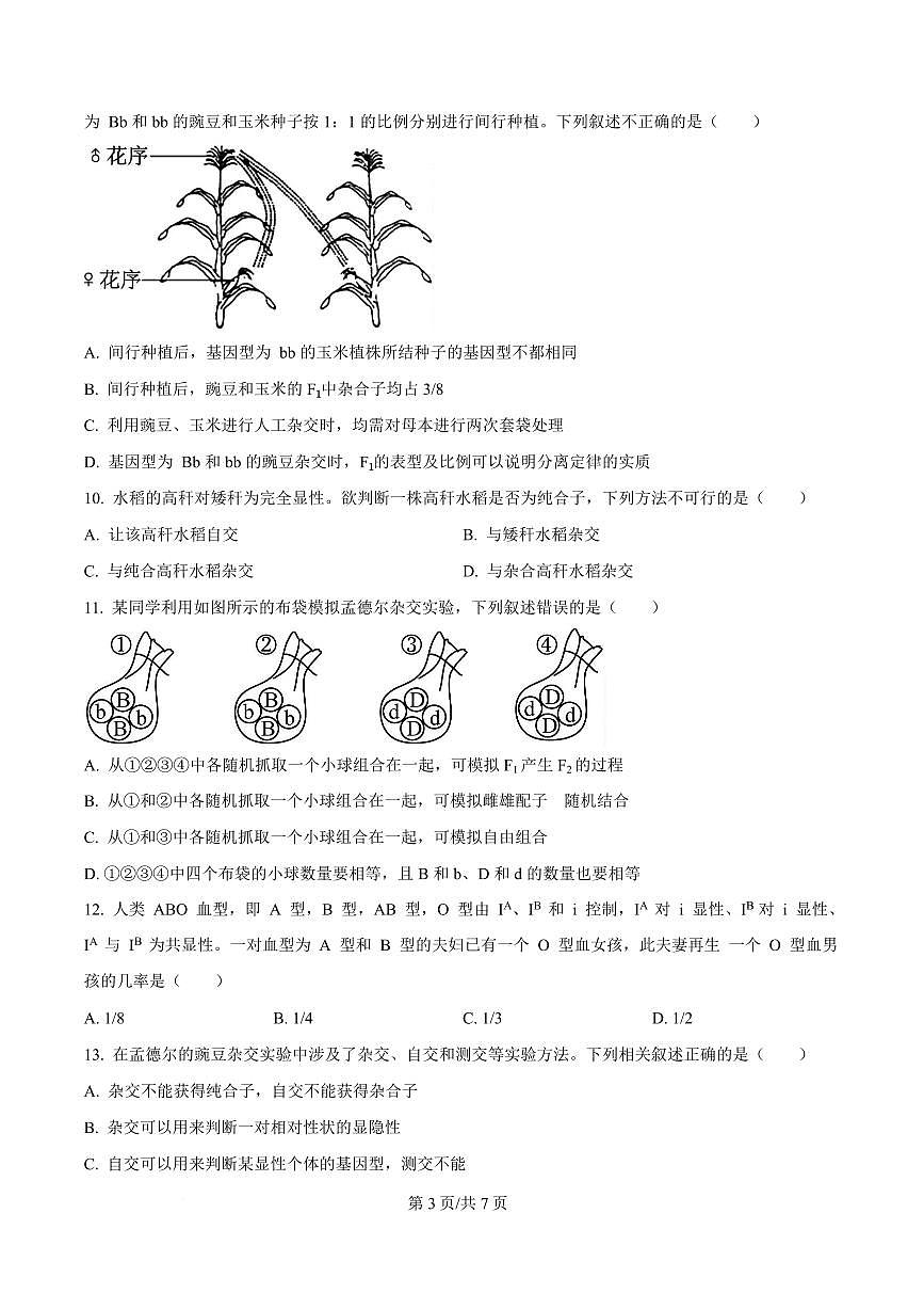 湖北省黄冈市蕲春县第一高级中学2024-2025学年高一下学期3月月考生物试题(原卷版)第3页