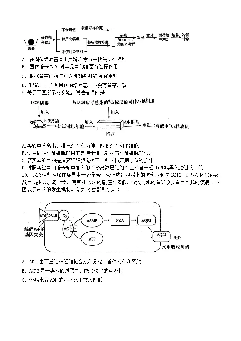 江西省丰城中学2023-2024学年高二上学期创新班生物期末试卷第3页