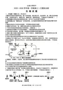 山西大学附属中学2025-2026学年高三上学期1月月考生物试题（PDF版附答案）
