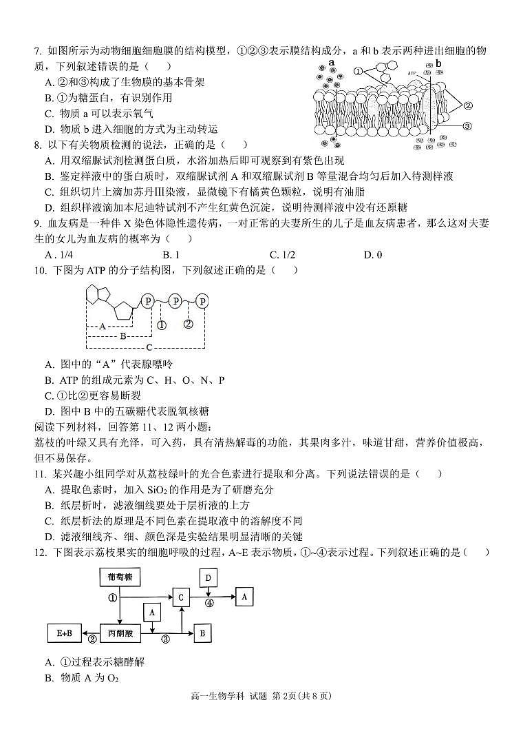 浙江省五湖联盟2024-2025学年高一下学期期中联考生物学试卷(PDF版,含答案)第2页