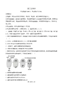 广东省2026届高三上学期12月金太阳联考生物试卷（Word版附解析）