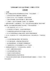 辽宁省辽西重点高中2025-2026学年高二上学期12月月考生物试卷（Word版附答案）