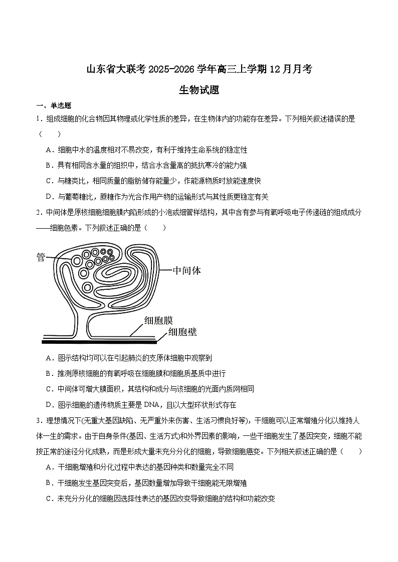 山东省大联考2026届高三上学期12月月考生物试卷(Word版附答案)第1页
