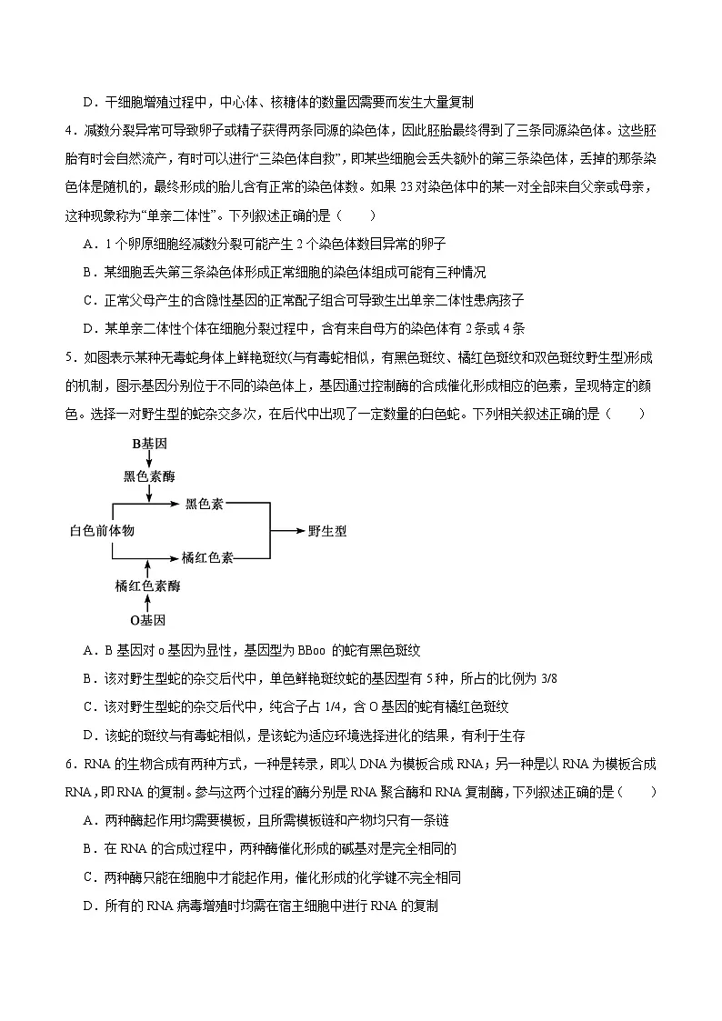 山东省大联考2026届高三上学期12月月考生物试卷(Word版附答案)第2页