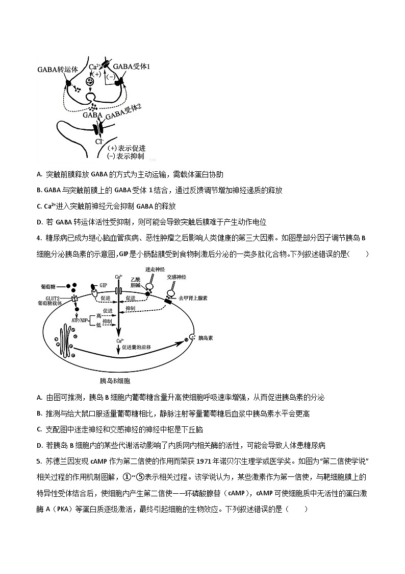 山西省吕梁市2025-2026学年高二上学期12月冲刺考生物试卷(Word版附答案)第2页