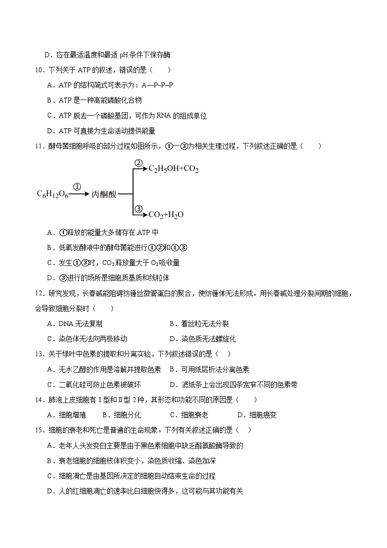 吉林省部分重点高中2025-2026学年高一上学期1月期末考试 生物(含答案)第3页