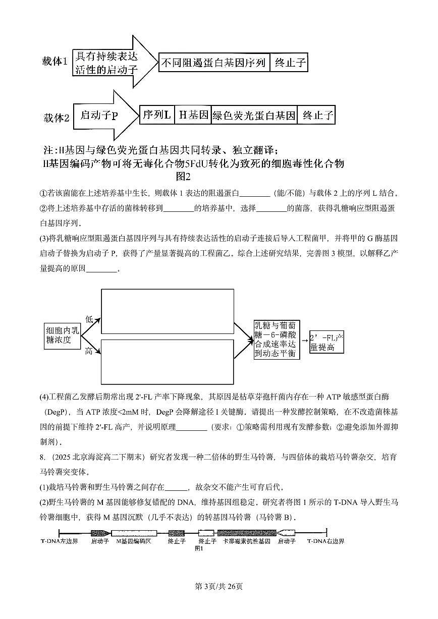 2025北京重点校高二(下)期末生物汇编:基因工程的基本操作程序第3页