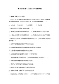 四川省内江市第一中学2025-2026学年高一上学期12月月考生物试题（含答案）含答案解析