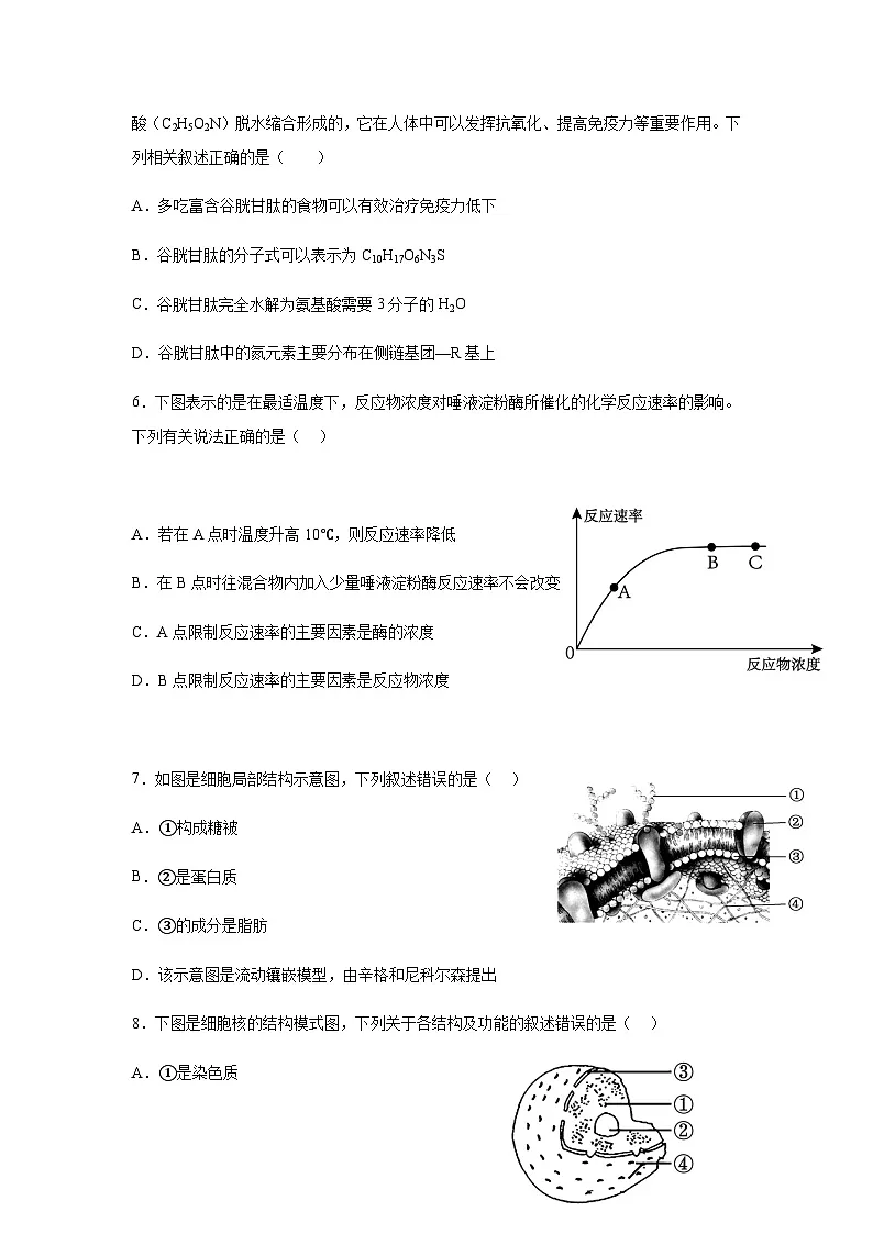 四川省内江市第一中学2025-2026学年高一上学期12月月考生物试题(含答案)第2页