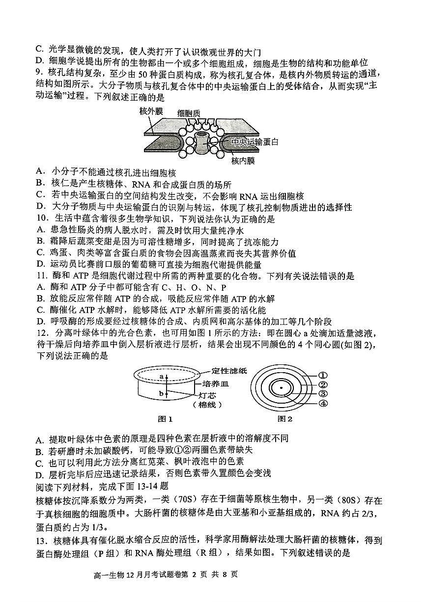 浙江省四校2024-2025学年高一上学期12月月考生物试题(无答案)第2页