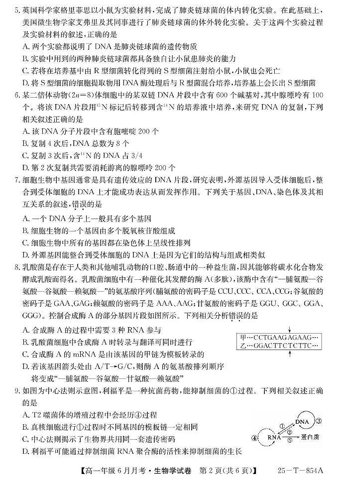 河北省部分高中2024-2025学年高一下学期6月月考生物试卷(无答案)第2页