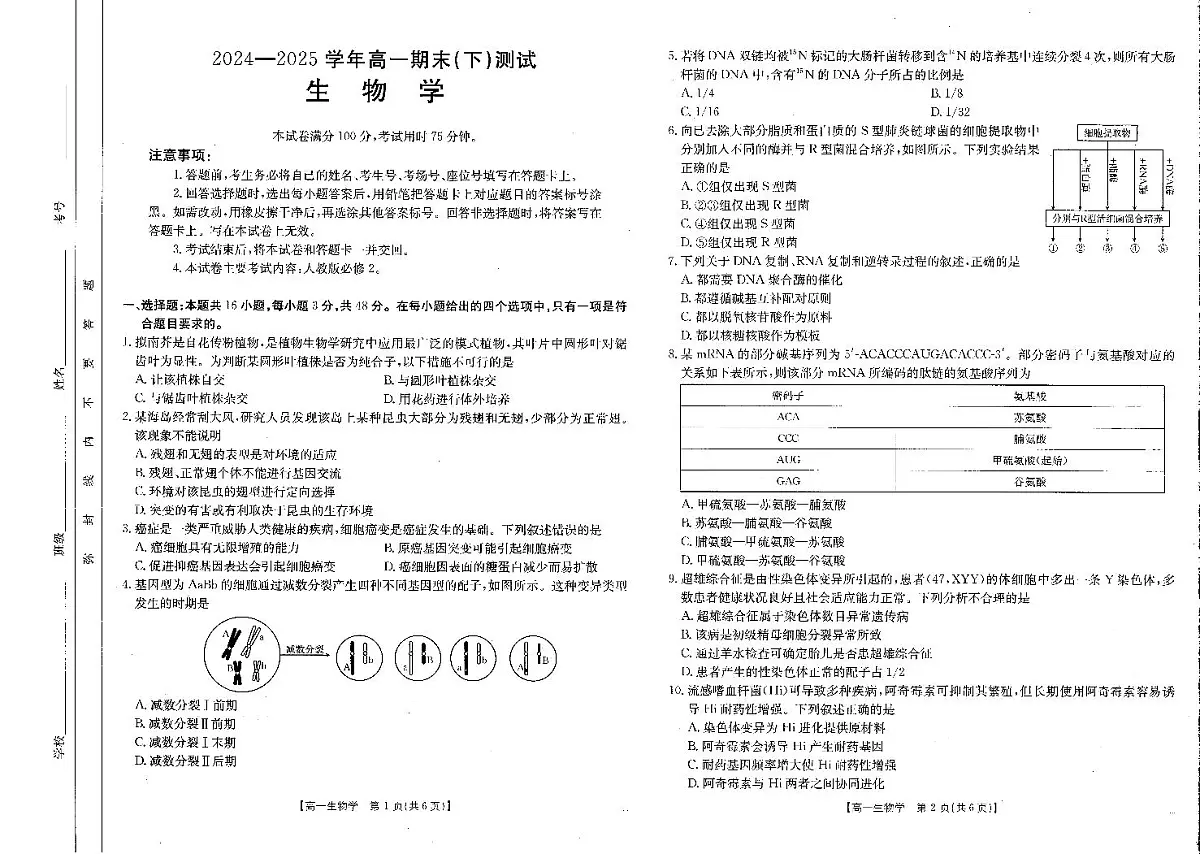 金太阳河南省新乡市2024-2025学年下学期高一期末考试生物试卷(无答案)第1页