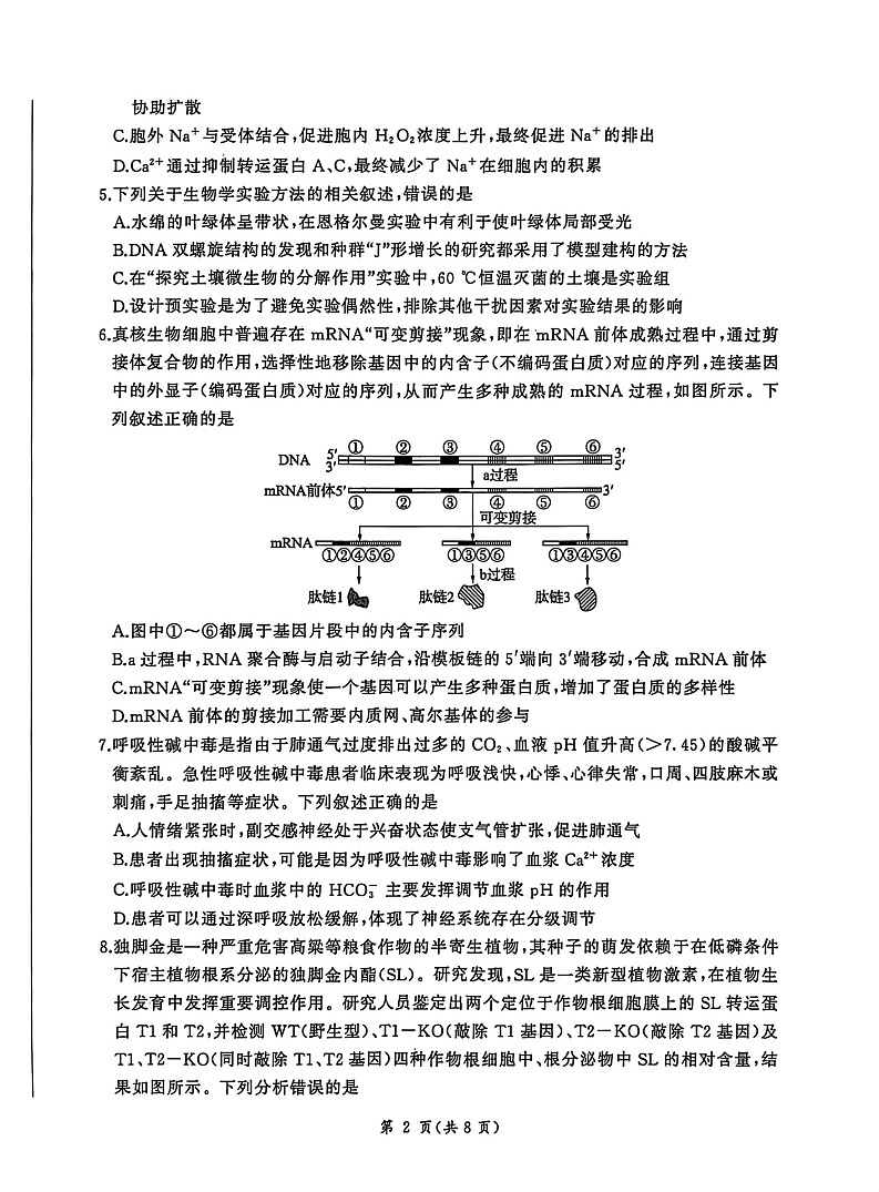 NT名校联合体2025-2026学年高三上学期1月月考生物试卷第2页