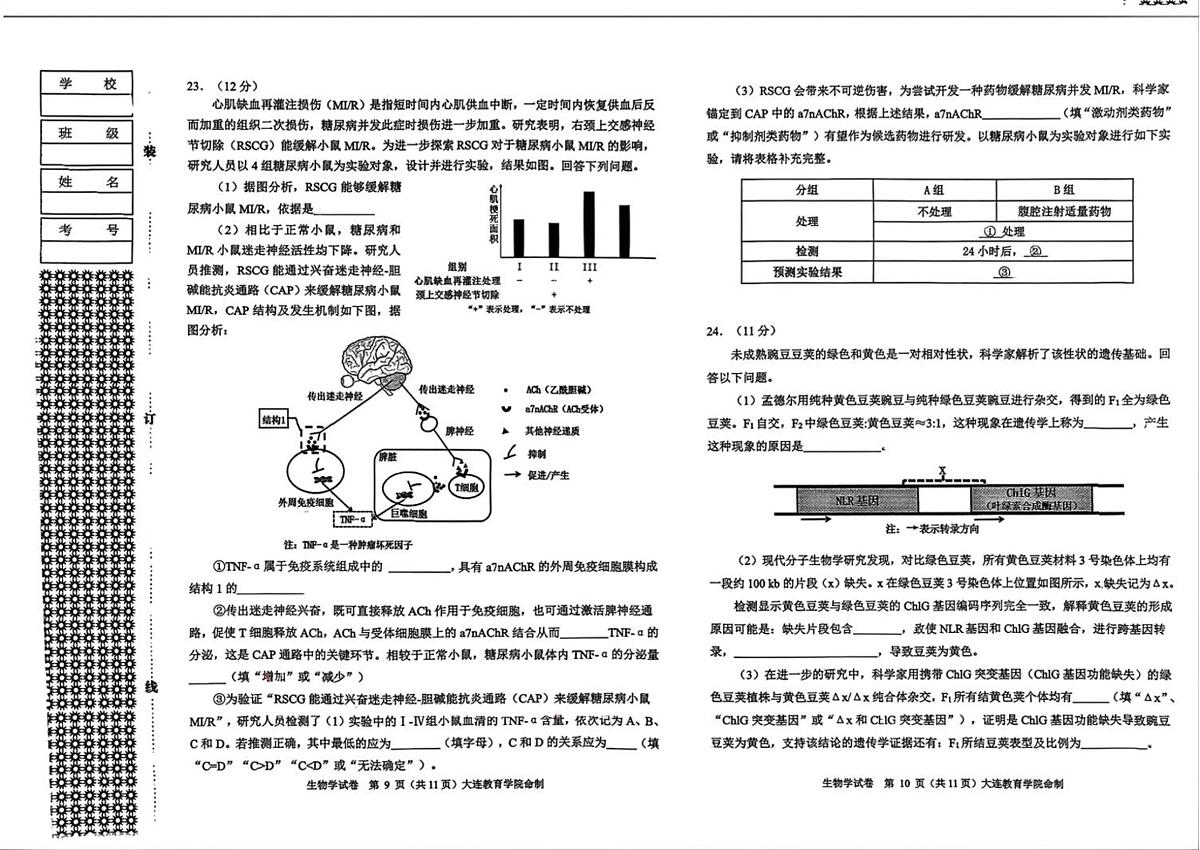 生物丨辽宁省大连市2026届高三上学期双基模拟试卷及答案第3页