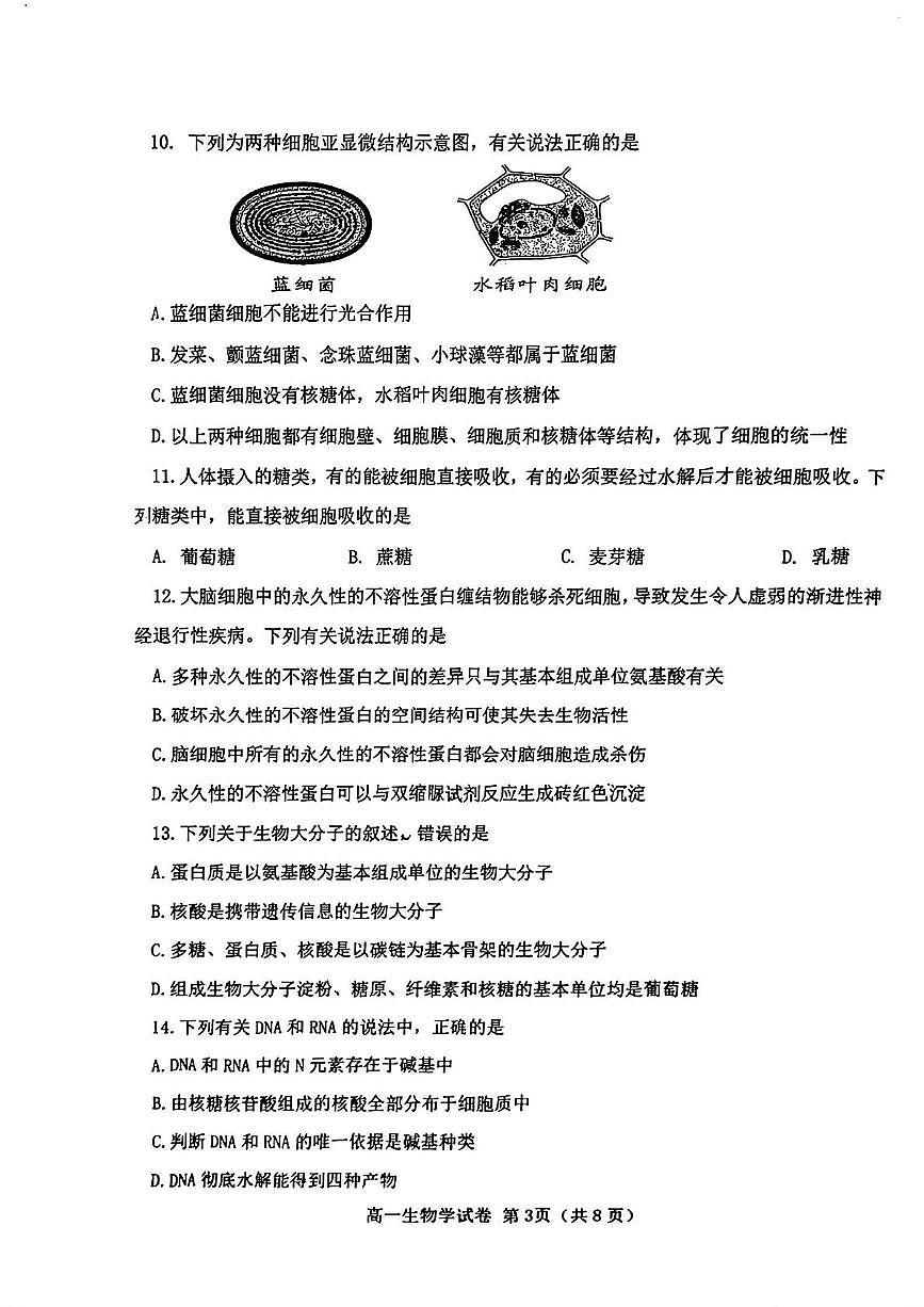 天津市西青区2024-2025学年高一上学期期末考试生物试卷(无答案)第3页