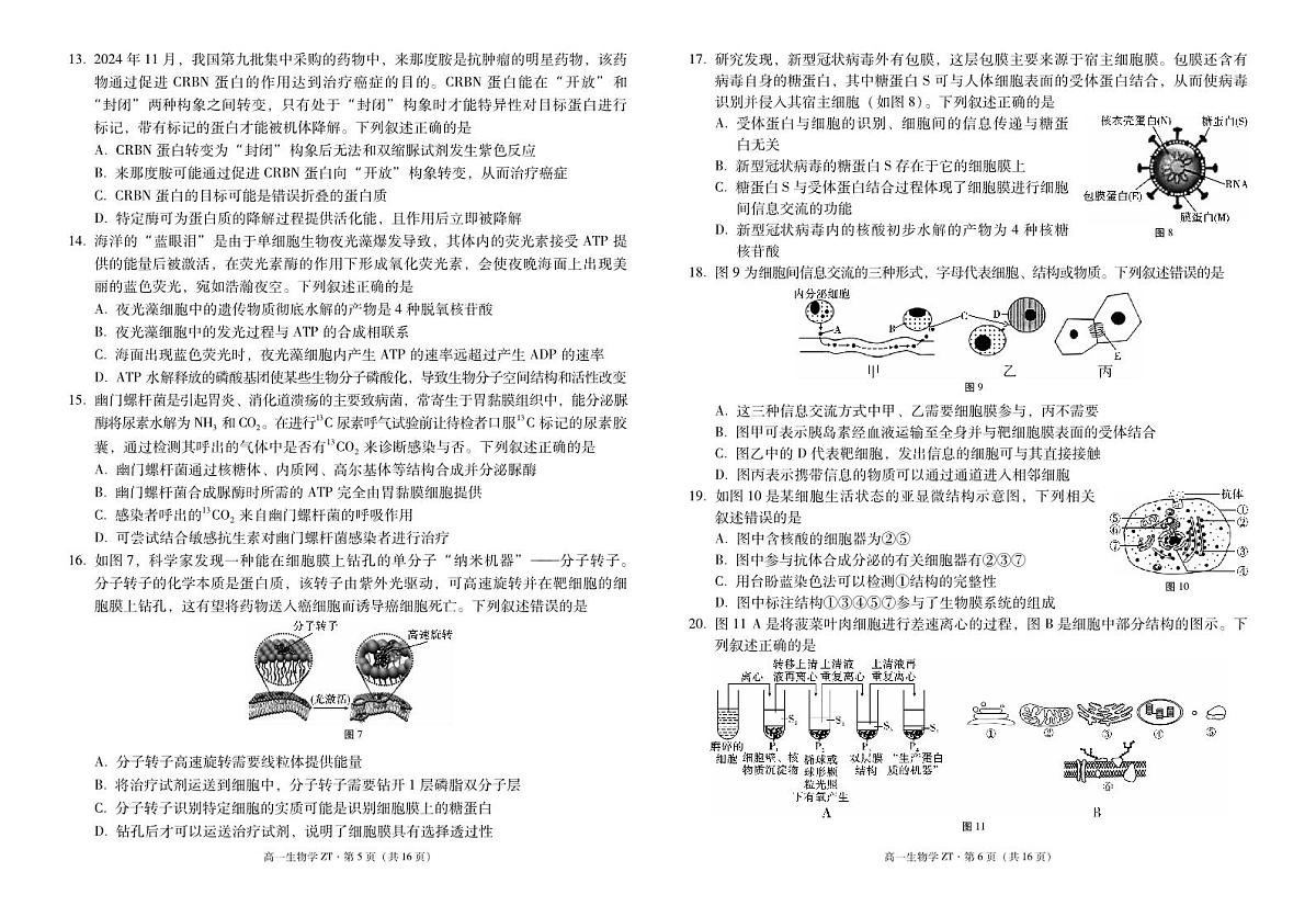 云南省昭通市第一中学2024-2025学年高一下学期2月开学考试试题生物试卷(无答案)第3页