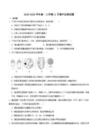 河南省信阳市固始县2025-2026学年高一上学期11月期中联考试题 生物（含答案）