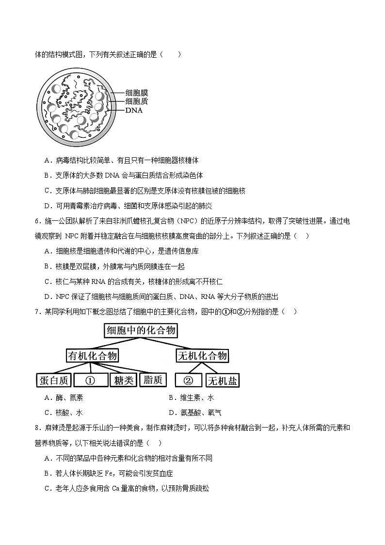 河南省信阳市固始县2025-2026学年高一上学期11月期中联考试题 生物(含答案)第2页