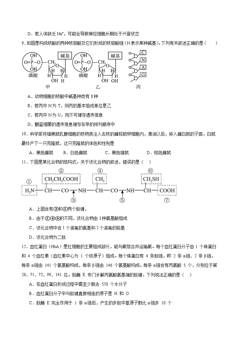 河南省信阳市固始县2025-2026学年高一上学期11月期中联考试题 生物(含答案)第3页