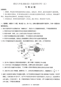 重庆市第八中学2026届高三上学期高考适应性月考卷(五)生物试卷+答案
