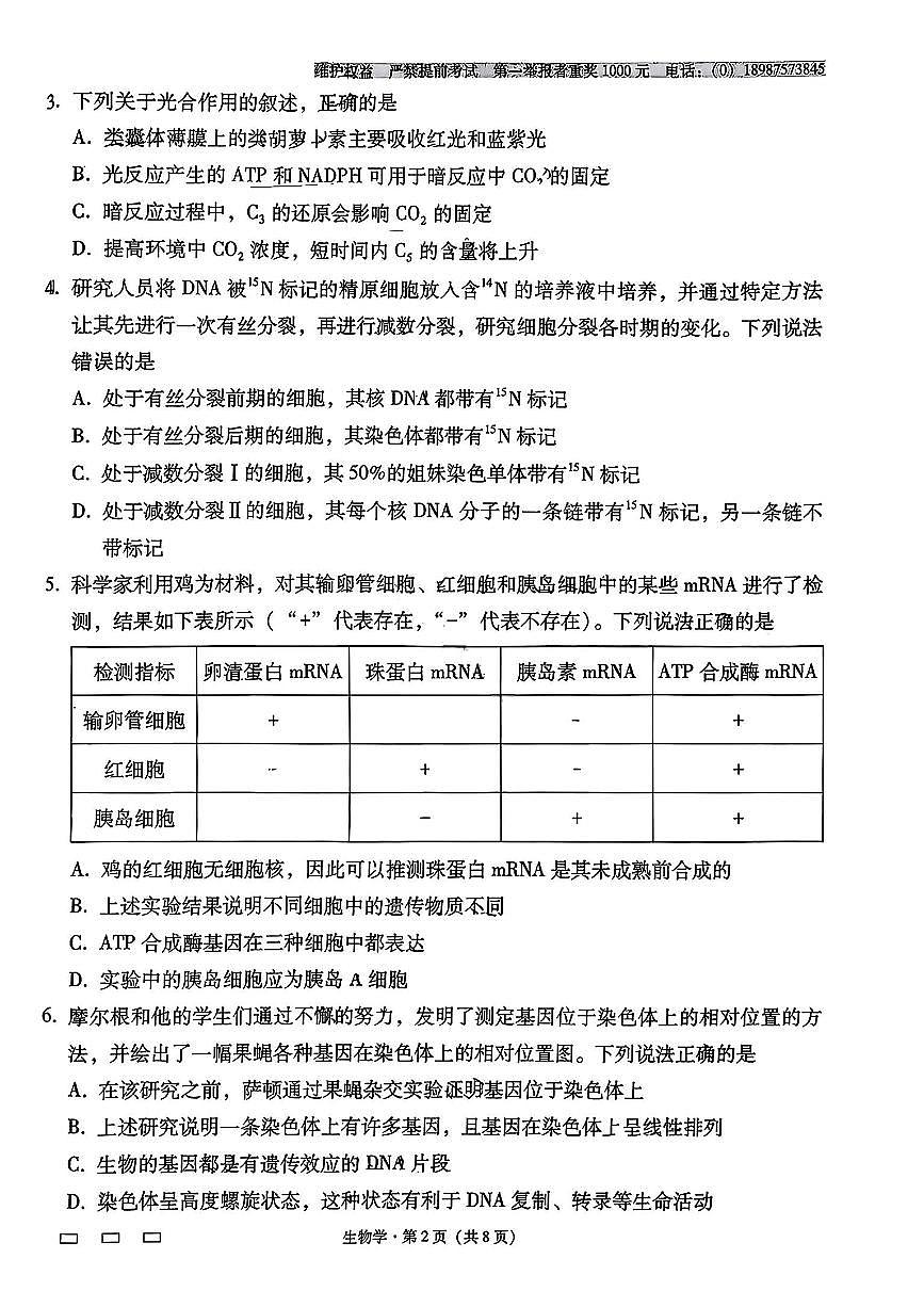 云南师大附中2026届高三上学期月考试卷(七)生物试卷+答案第2页