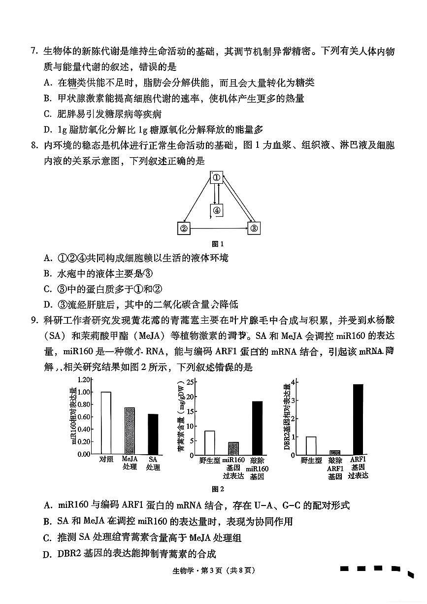 云南师大附中2026届高三上学期月考试卷(七)生物试卷+答案第3页
