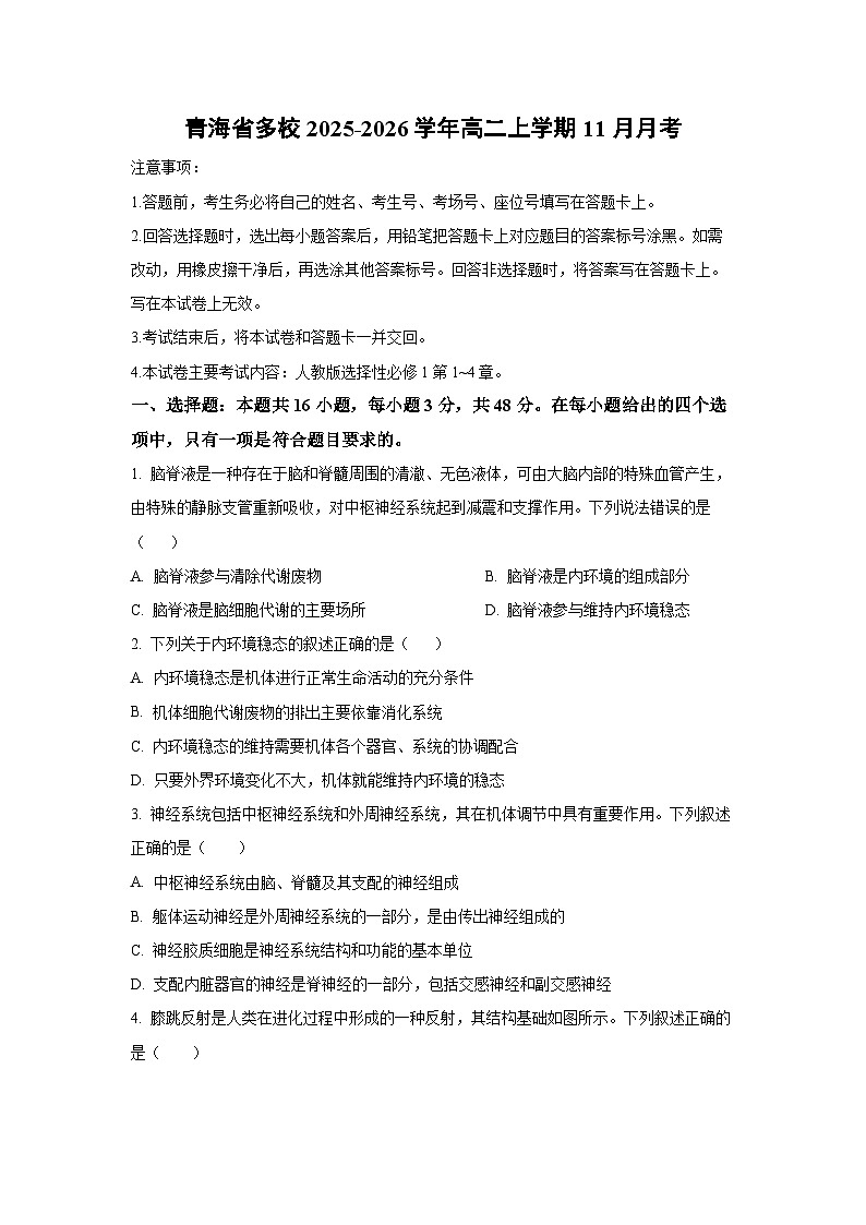 2025-2026学年青海省多校高二上学期11月月考生物试卷(学生版)第1页