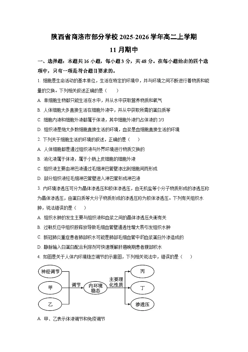 2025-2026学年陕西省商洛市部分学校高二上学期11月期中生物试卷(学生版)第1页