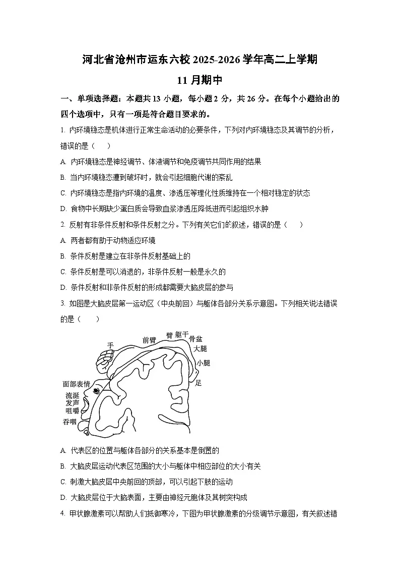 2025-2026学年河北省沧州市运东六校高二上学期11月期中生物试卷(学生版)第1页