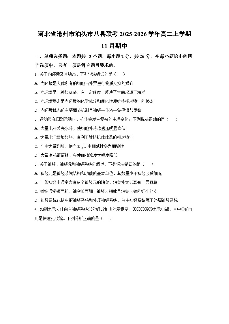 2025-2026学年河北省沧州市泊头市八县联考高二上学期11月期中生物试卷(学生版)第1页