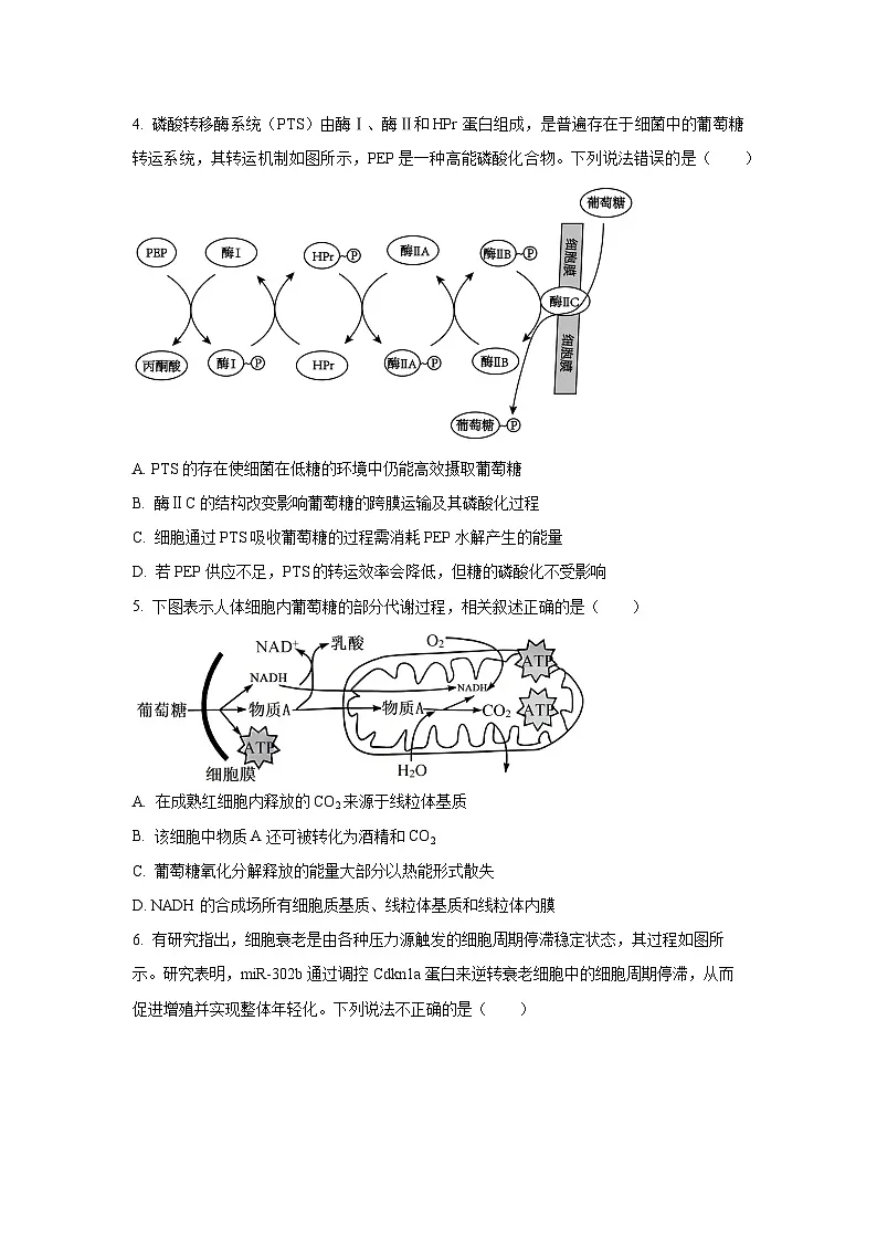 2025-2026学年江苏省扬州市高三上学期第二次联考生物试卷(学生版)第2页