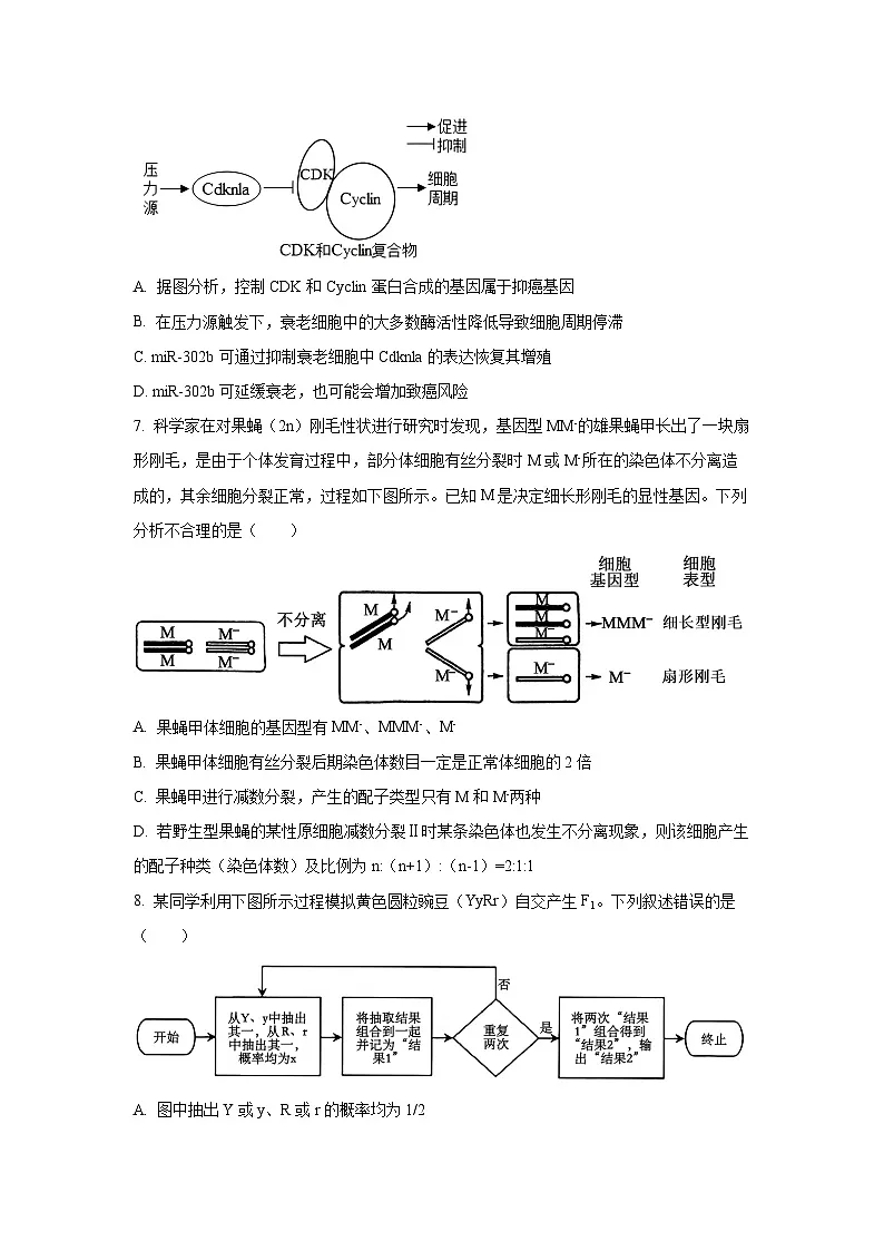 2025-2026学年江苏省扬州市高三上学期第二次联考生物试卷(学生版)第3页