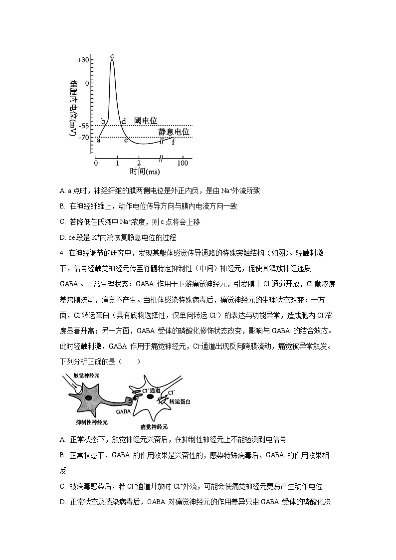 2025-2026学年河南省商丘市高二上学期期中考试生物试卷(学生版)第2页