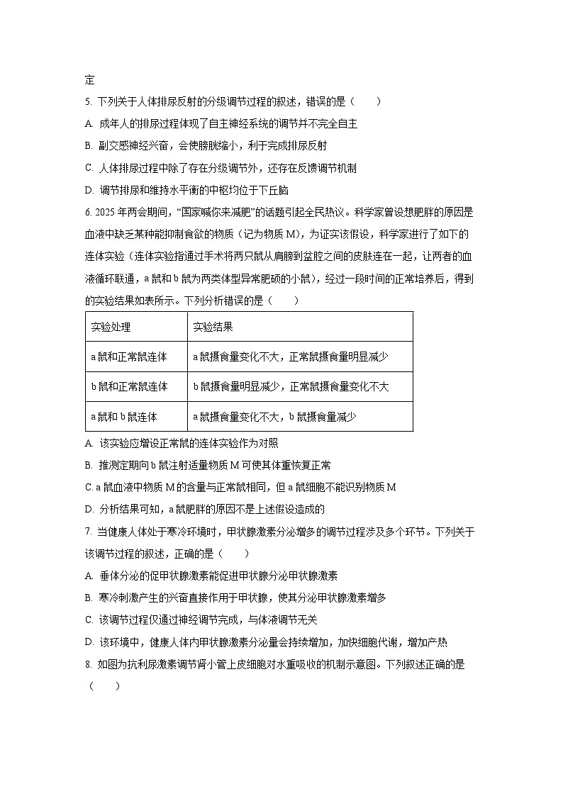 2025-2026学年河南省商丘市高二上学期期中考试生物试卷(学生版)第3页