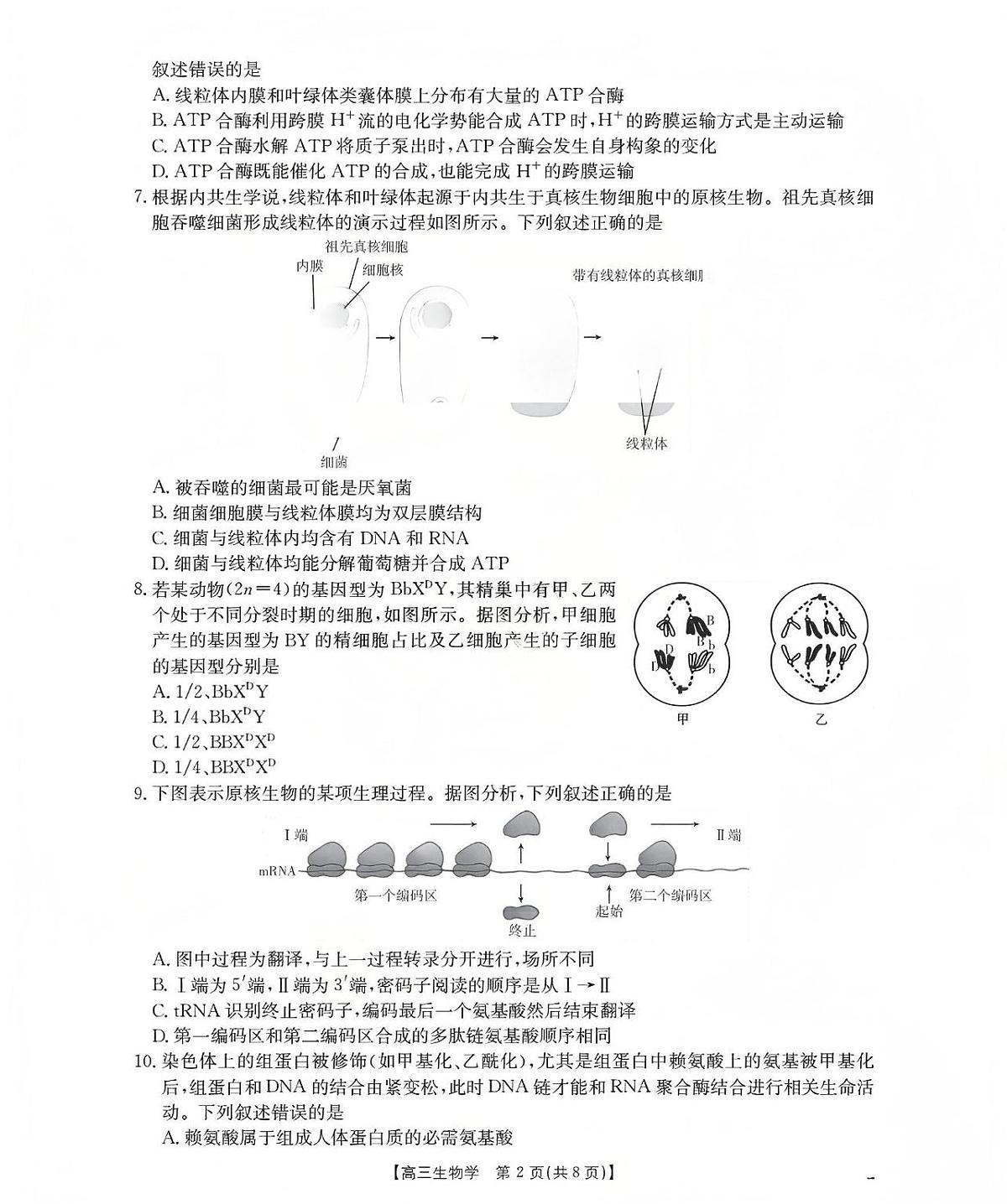 新疆2026届高三上学期12月联考(26-159C)生物试卷+答案第2页