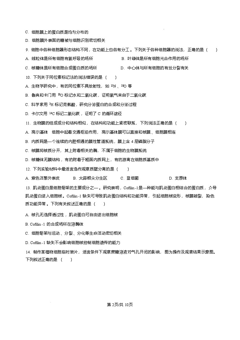 黑龙江省哈尔滨市第三中学校2025-2026学年高一上学期1月期末生物试题含答案第2页