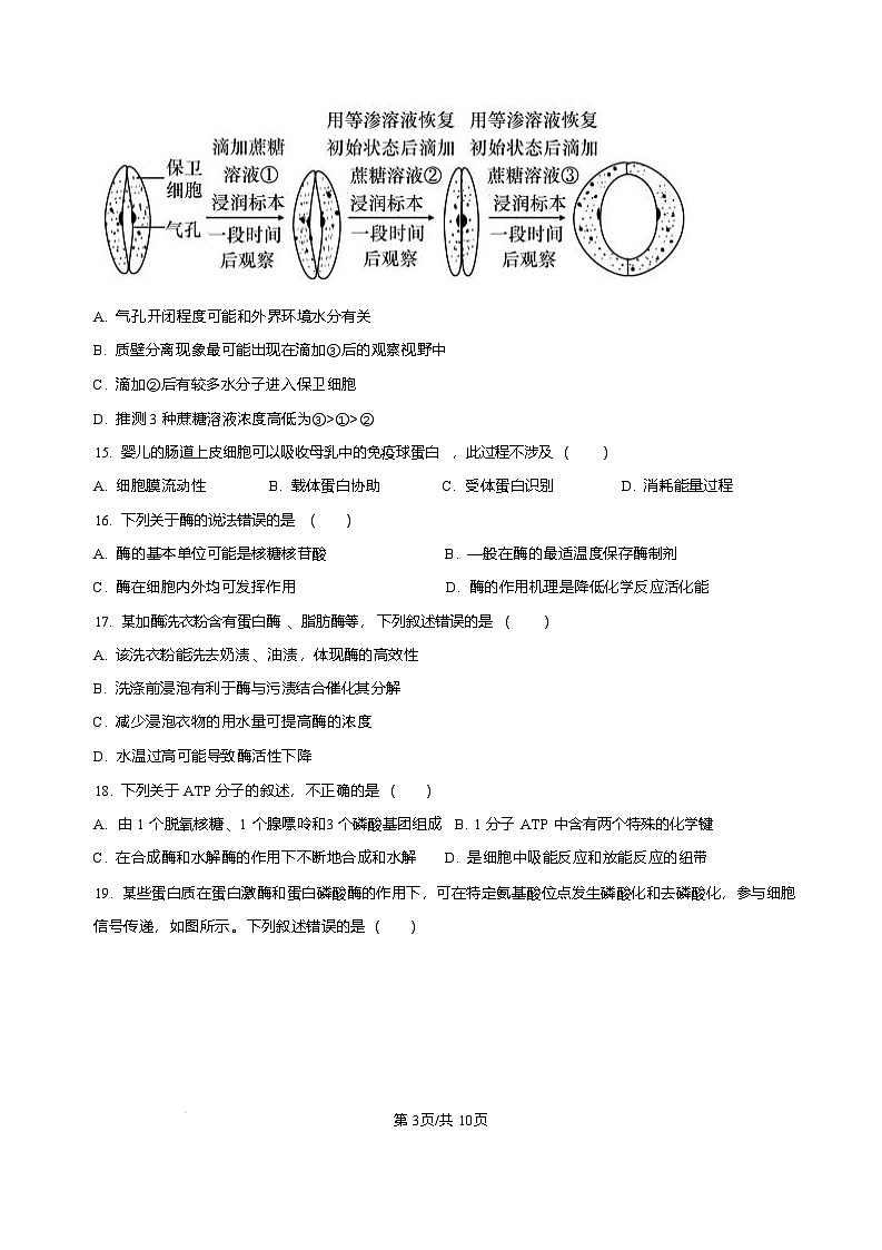 黑龙江省哈尔滨市第三中学校2025-2026学年高一上学期1月期末生物试题含答案第3页