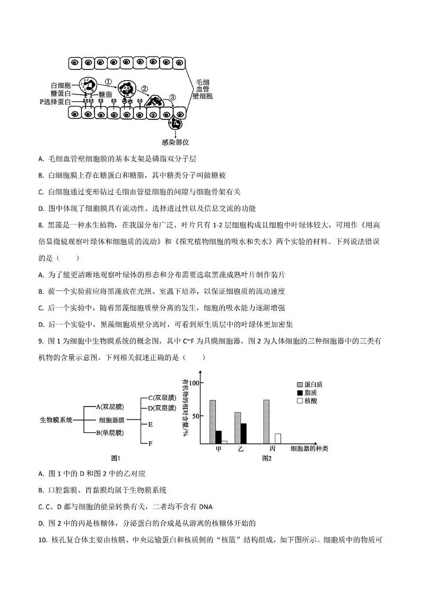 2025-2026学年安徽省江南十校高一上学期月考生物(B)试卷(有答案)第3页