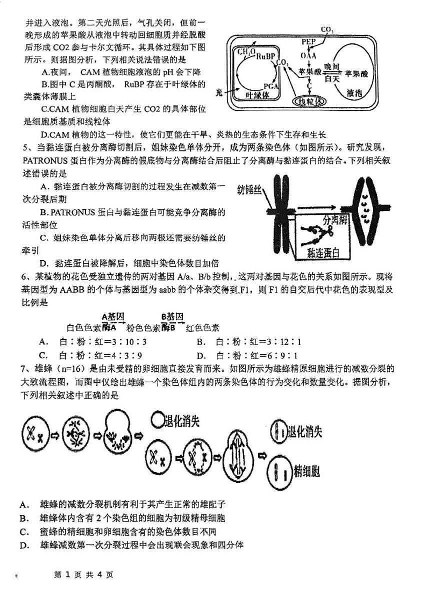 2025-2026学年天津市北辰区南仓中学高三上学期第二次月考生物试卷(有答案)第2页