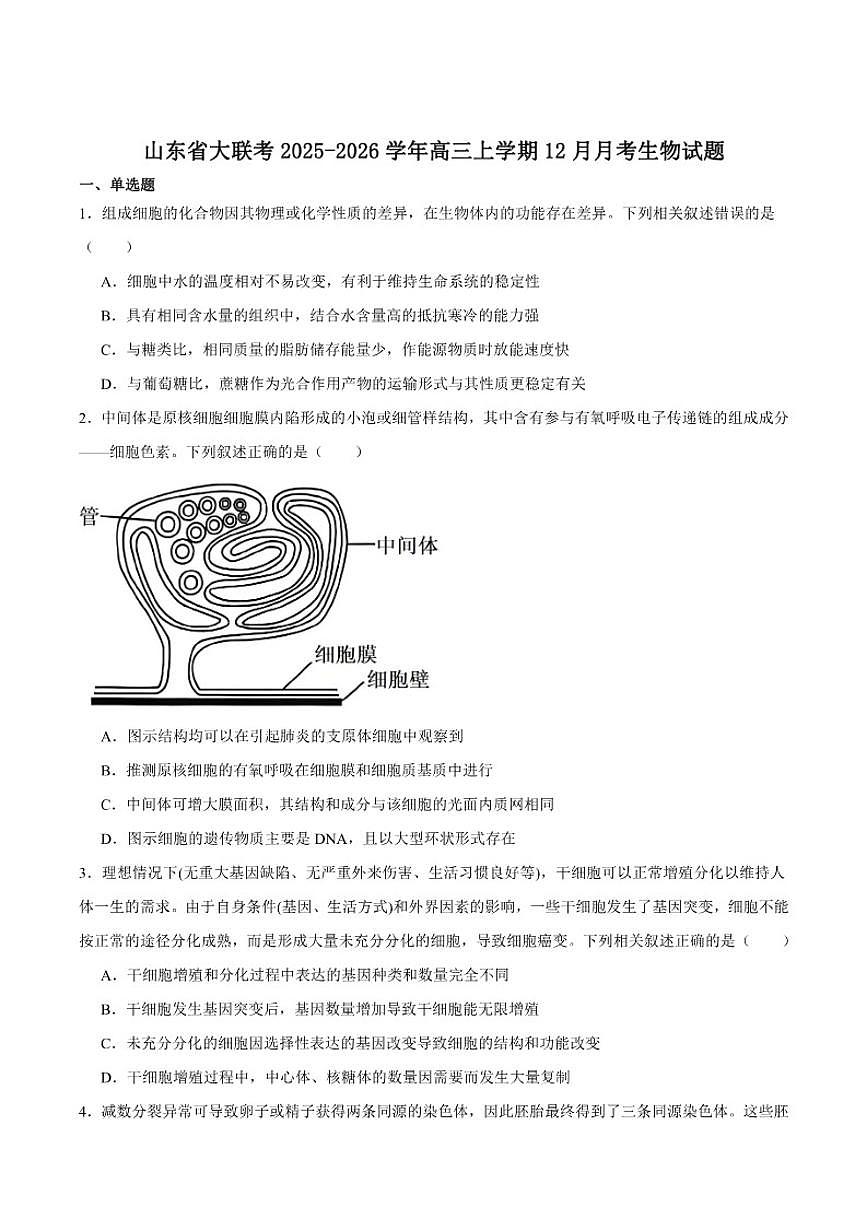 2026届山东省大联考高三上学期12月月考生物试卷(有答案)第1页