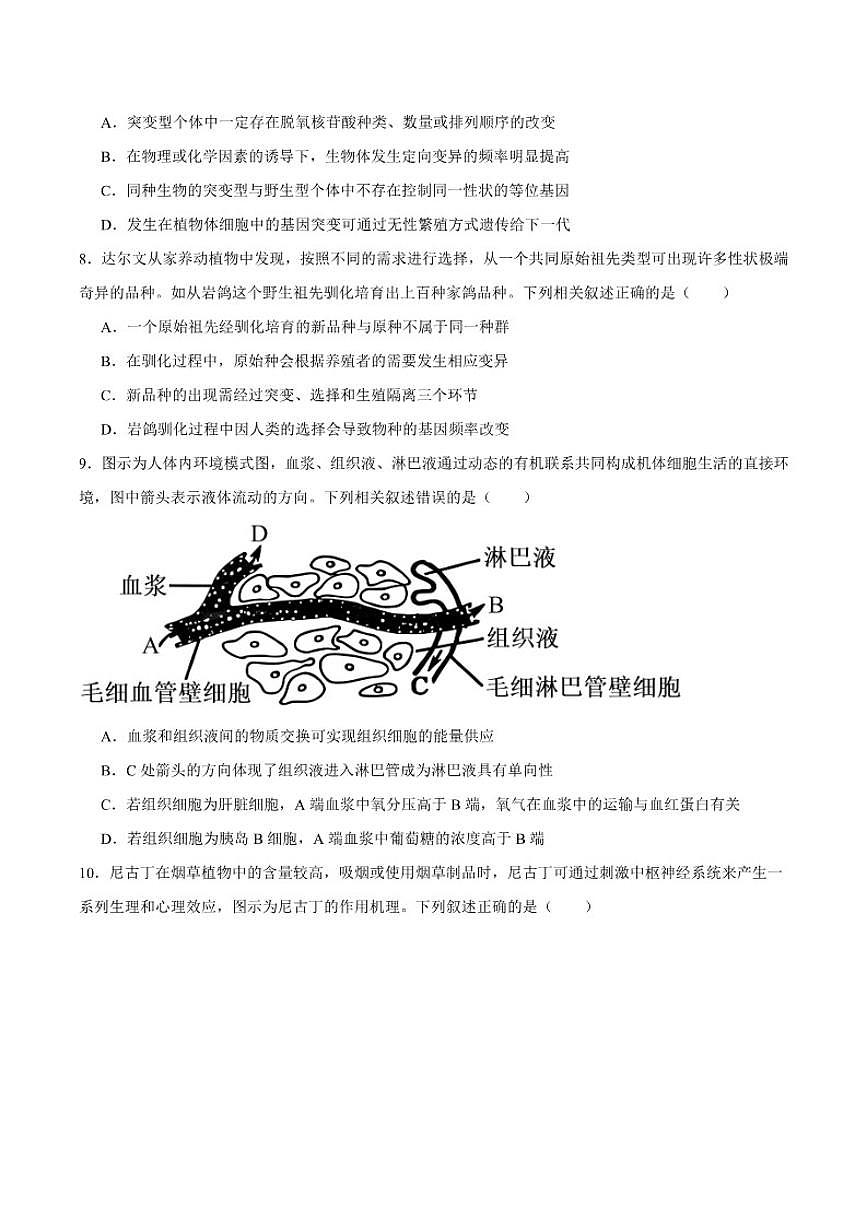 2026届山东省大联考高三上学期12月月考生物试卷(有答案)第3页