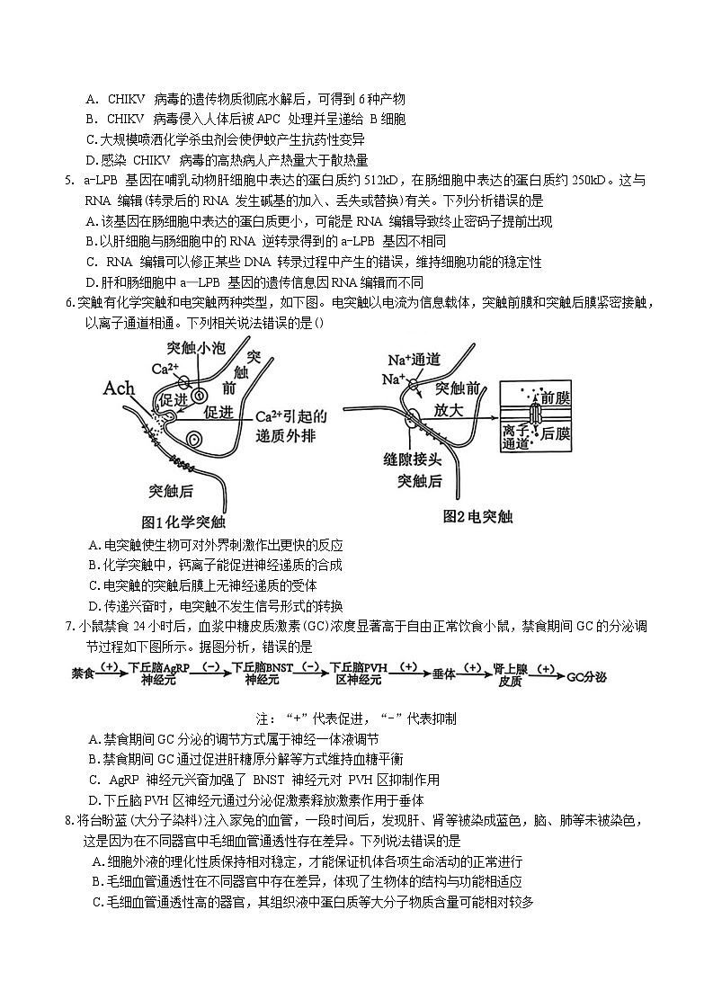 广东省惠州市2026届高三上学期第二次调研考试生物试卷(Word版附答案)第2页